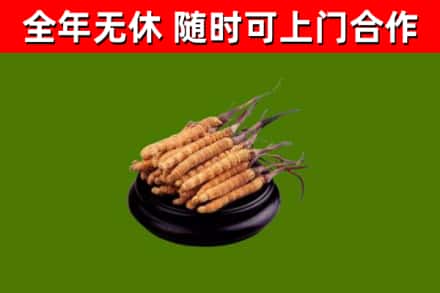 武昌烟酒回收冬虫夏草.jpg